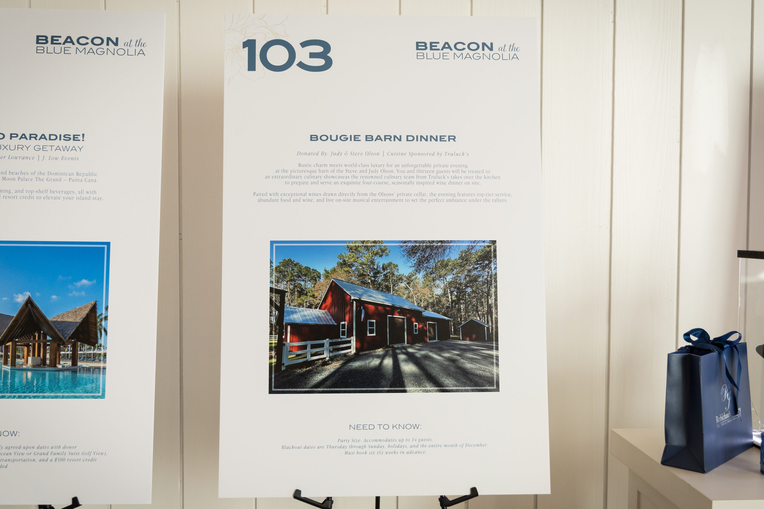 Project_Beacon_2026-14