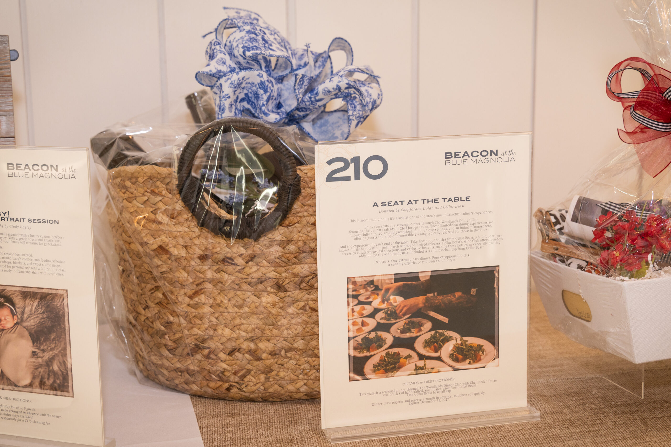 Project_Beacon_2026-46